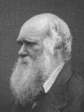 Charles Darwin, Slide 11