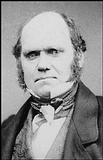 Charles Darwin, 1854, Slide 9